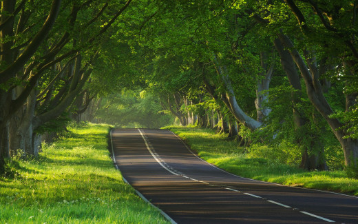 510568 (a): :2560x1600